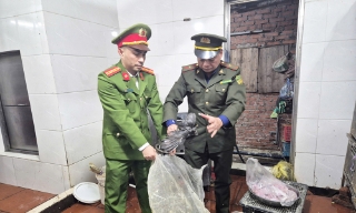 Bắc Ninh: Kiểm tra đột xuất, thu giữ hơn 100 cá thể chim hoang dã tại phường Từ Sơn